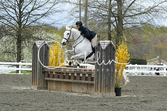 HSM_0348