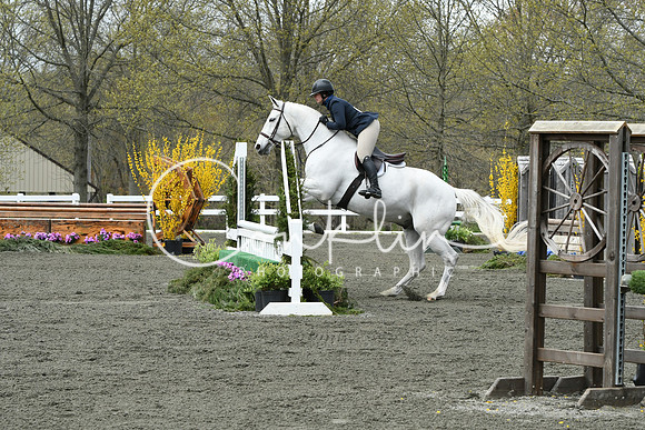 HSM_0379