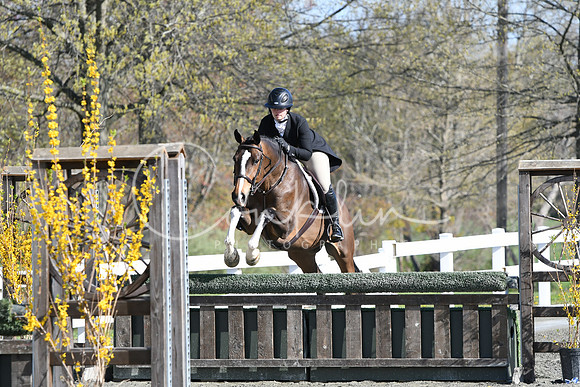 HSM_4346