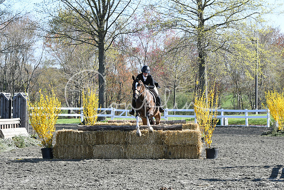 HSM_4355