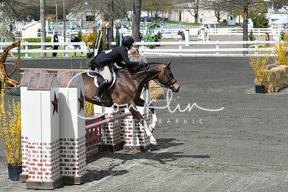 HSM_4951