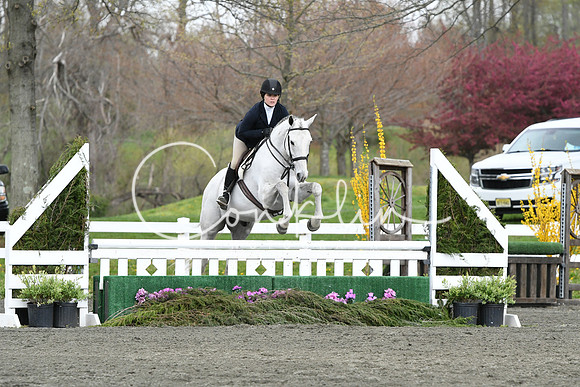 HSM_0994