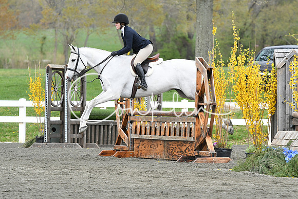 HSM_1036