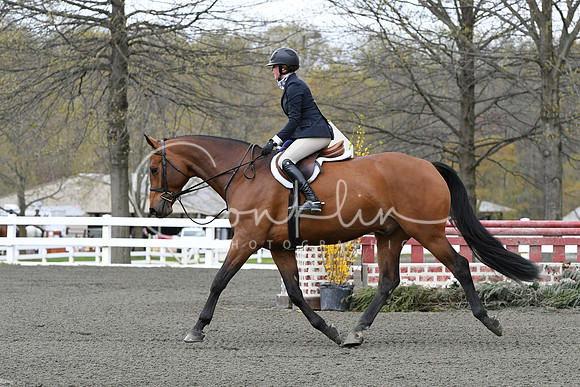 HSM_2805