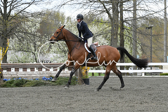 HSM_2997