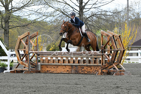 HSM_2962