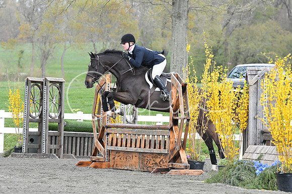 HSM_0987