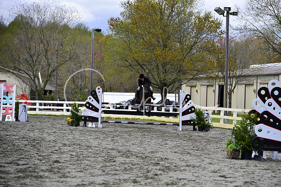 _DSC9281