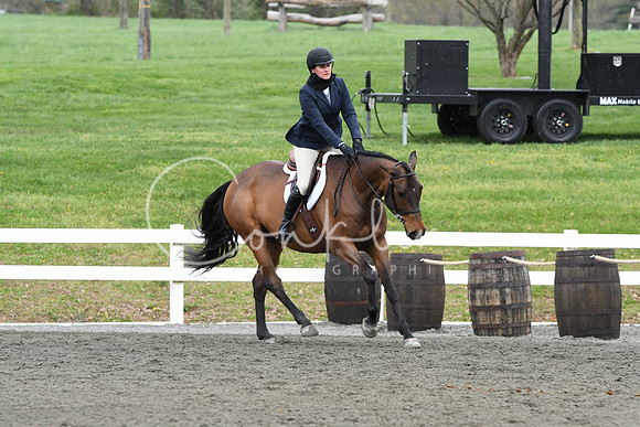 HSM_1273