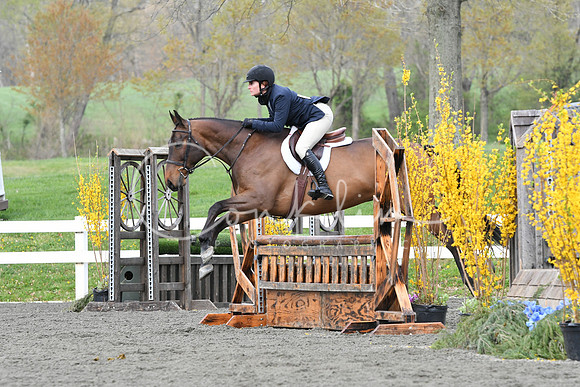HSM_1373
