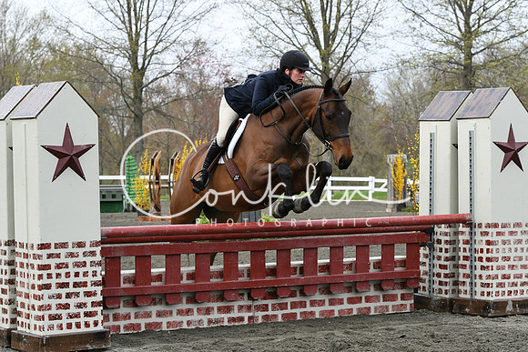HSM_1377