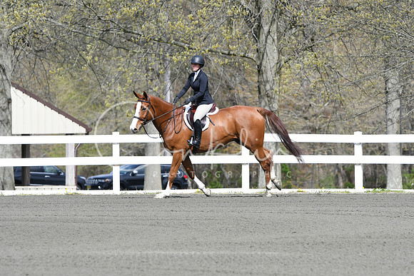 HSM_2229