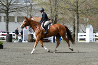 HSM_2239
