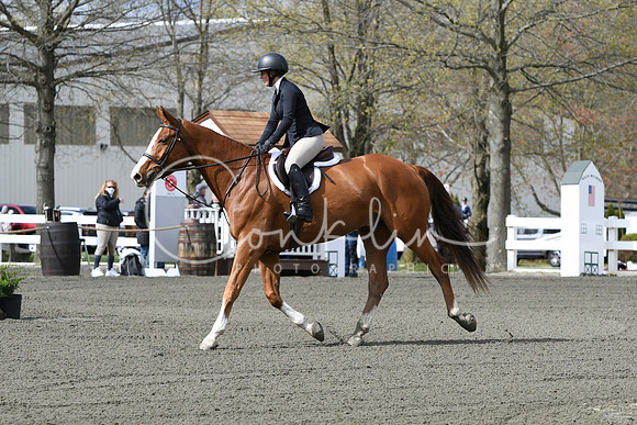HSM_2239