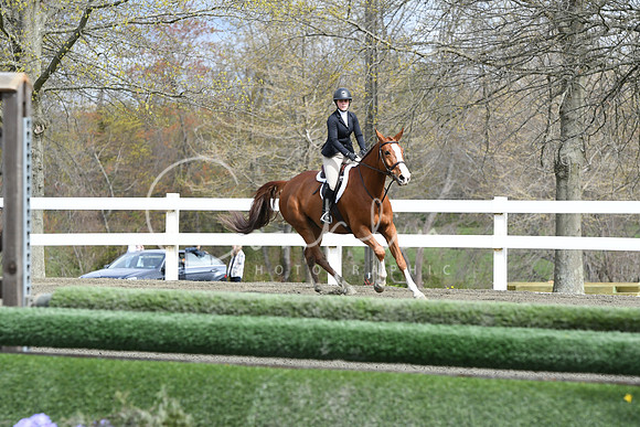 HSM_2272