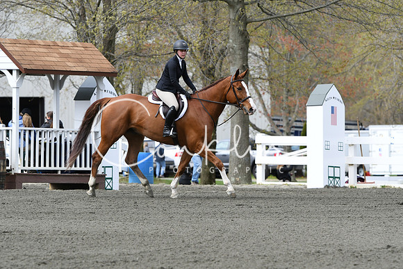 HSM_2310