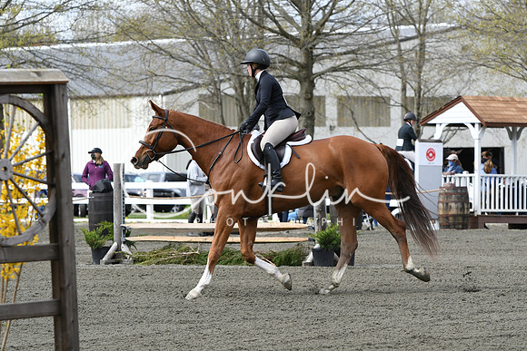 HSM_2313