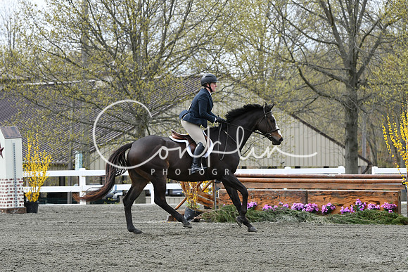 HSM_0798