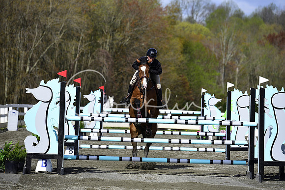 _DSC8628