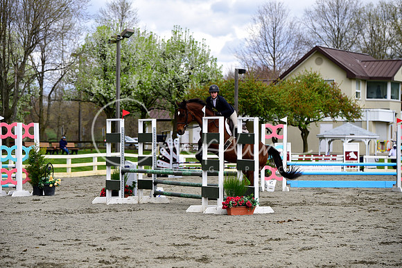 _DSC0338