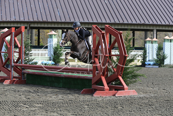 RJC14007