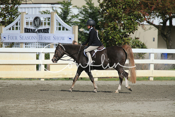 RJC14198