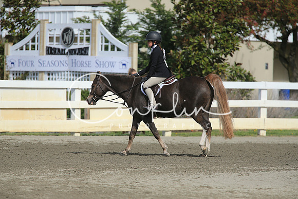 RJC14199