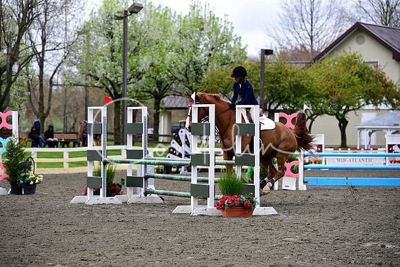 _DSC0994
