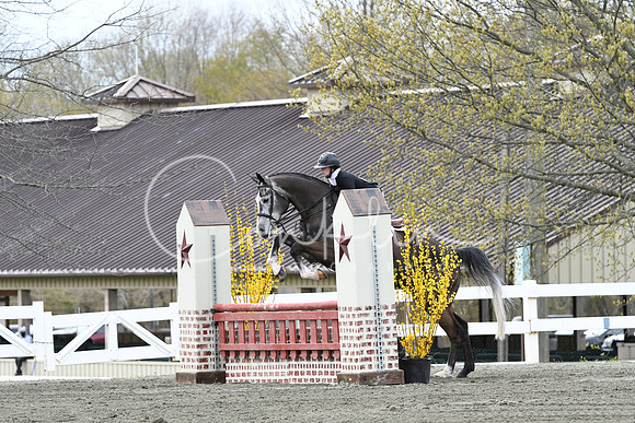 HSM_0825