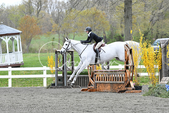 HSM_0949