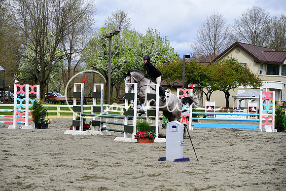 _DSC0478