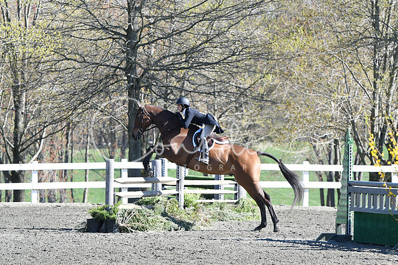 HSM_4497