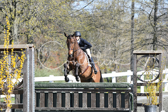 HSM_4498