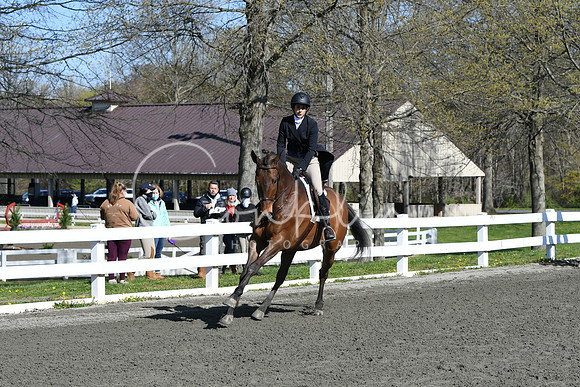 HSM_4501
