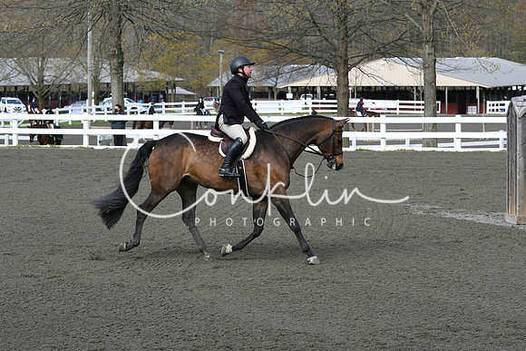 HSM_9313
