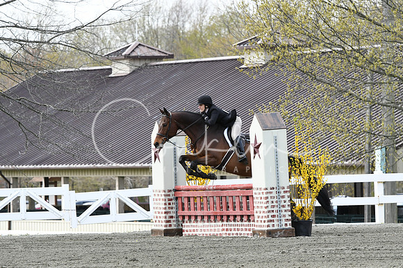 HSM_0672