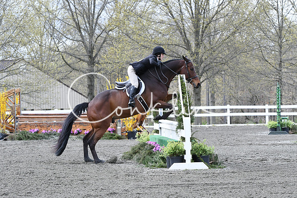 HSM_0895