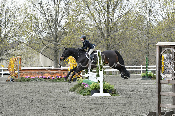 HSM_0733