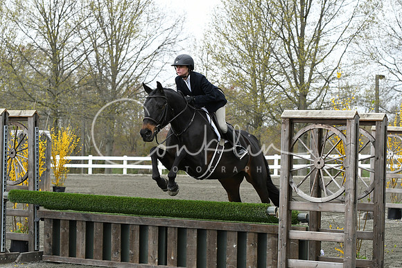 HSM_0736