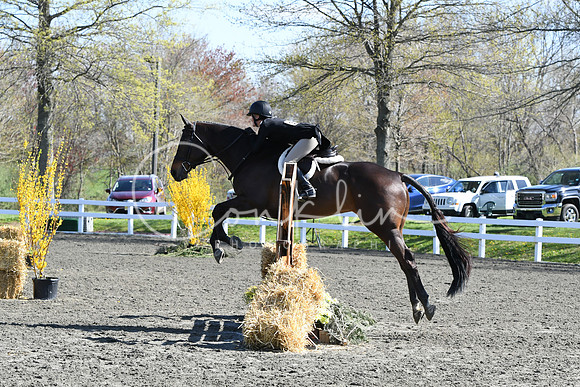 HSM_4736