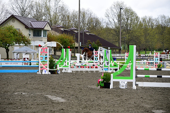 _DSC0971