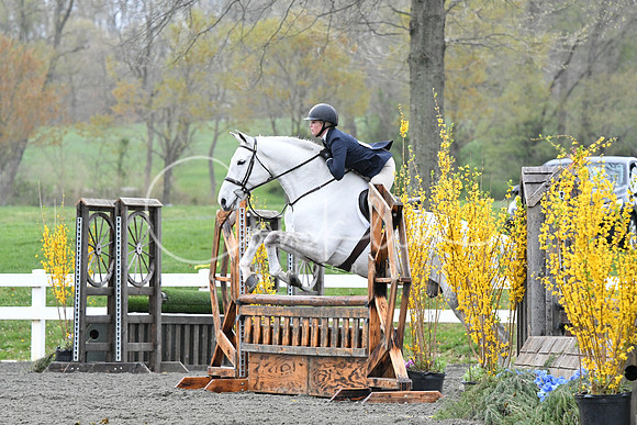 HSM_1447