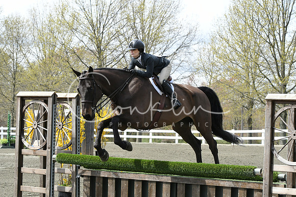 HSM_0585
