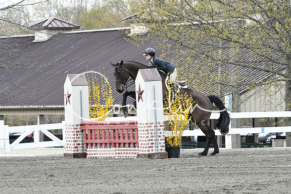 HSM_0686