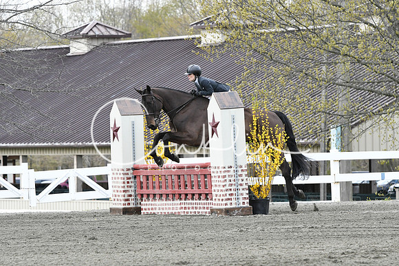 HSM_0687