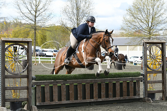 HSM_2278