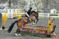 HSM_0217