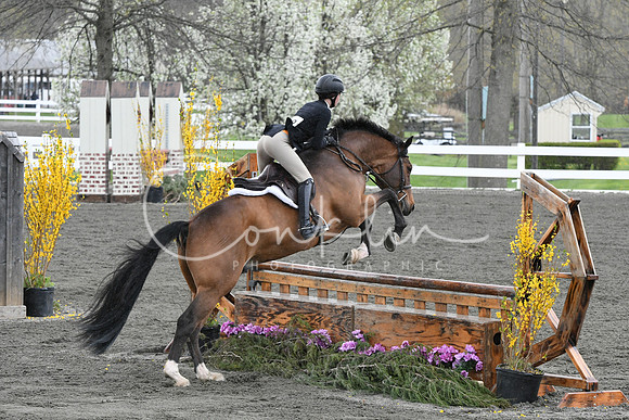HSM_0217