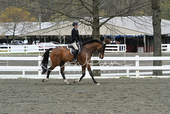 HSM_0241