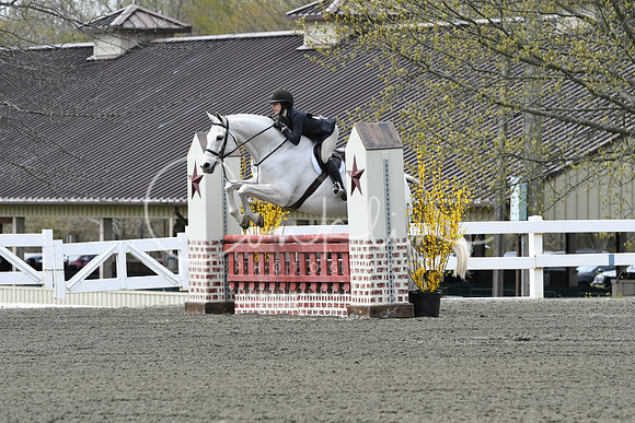 HSM_0481